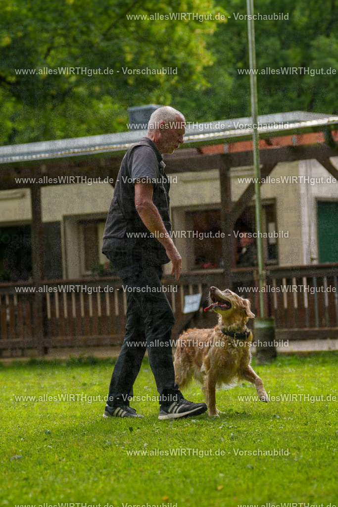 @allesWIRTHgut_Tierfotografie - www.allesWIRTHgut.de - 093347-7R507332 | Professionelle Tierfotografie in Mönchengladbach von Daniel Wirth (allesWIRTHgut). Liebevolle & natürliche Bilder von Hunden & Katzen für unvergessliche Erinnerungen.