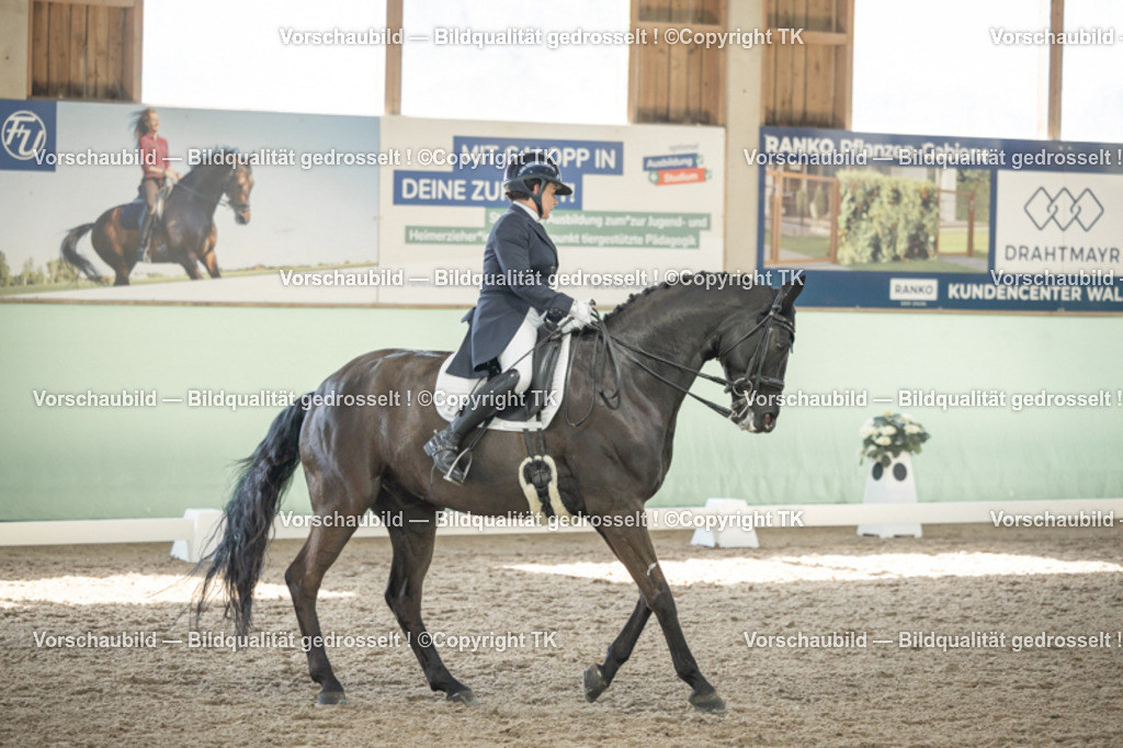 _D5A1580 | Emotionale Pferde- & People-Fotografie rund um Heidelberg, Leimen & Umgebung. Natürliche Fotos von Pferd, Mensch & Familie. Jetzt Termin sichern!