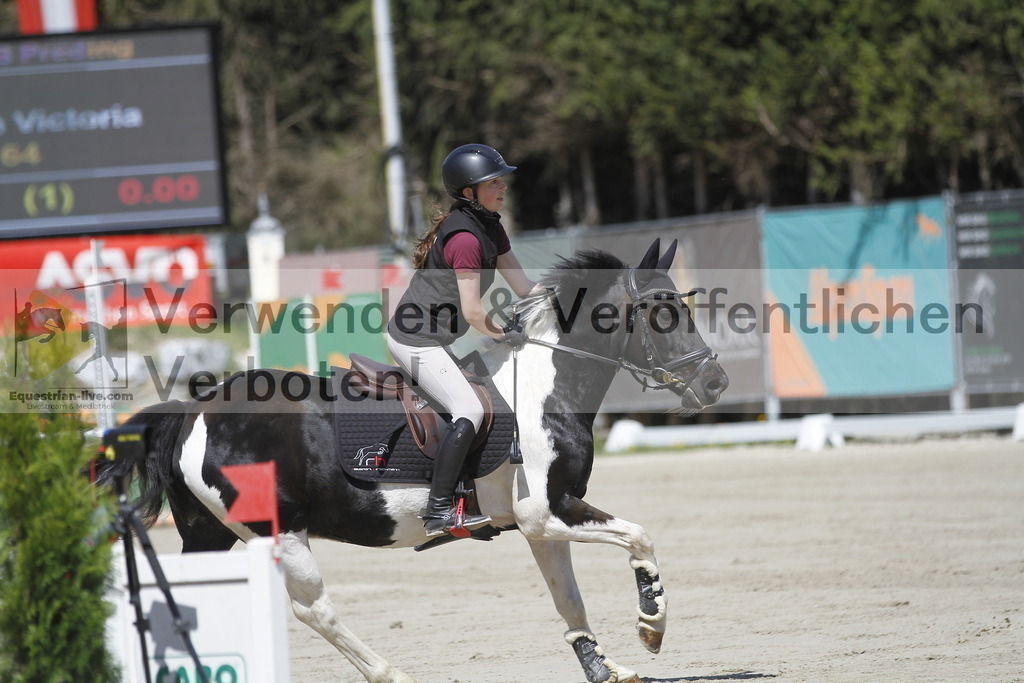 _MG_6533 | equestrian-live-com