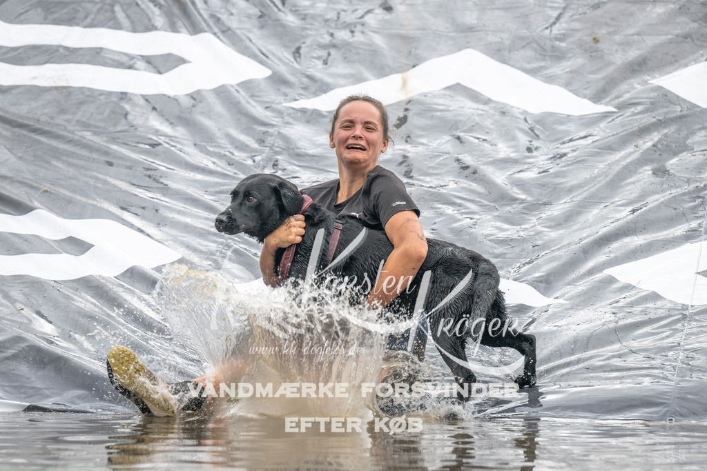 1415_ZZ94837 | kk-dogfotos