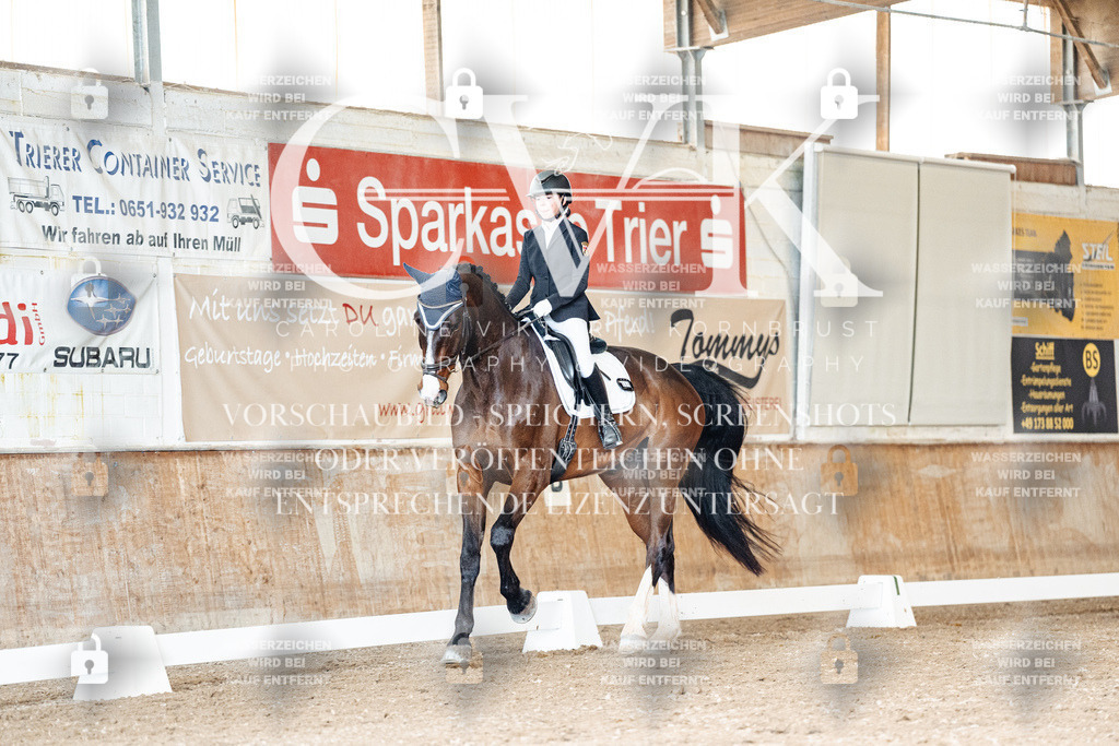 CK901201 | Turnierfotografie Pferdefotografie Trier Rheinland-Pfalz Pferdesport Reitsport Tierfotografie Sportfotografie Pferdevideo Pferdevideografie Equestrianvideography equestrianphotography  - Realisiert mit Pictrs.com