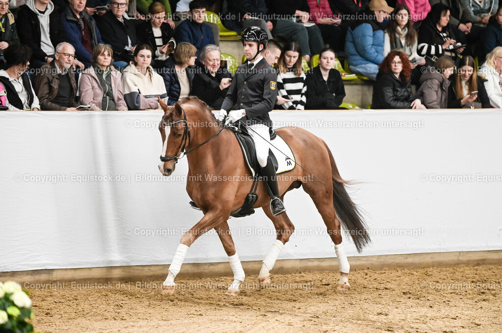20260307_Hengstvorstellung-Marbach_0219 | equistock