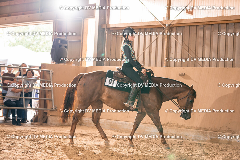 Losheim Tag 2-433 | dv-media-shop - Realisiert mit Pictrs.com