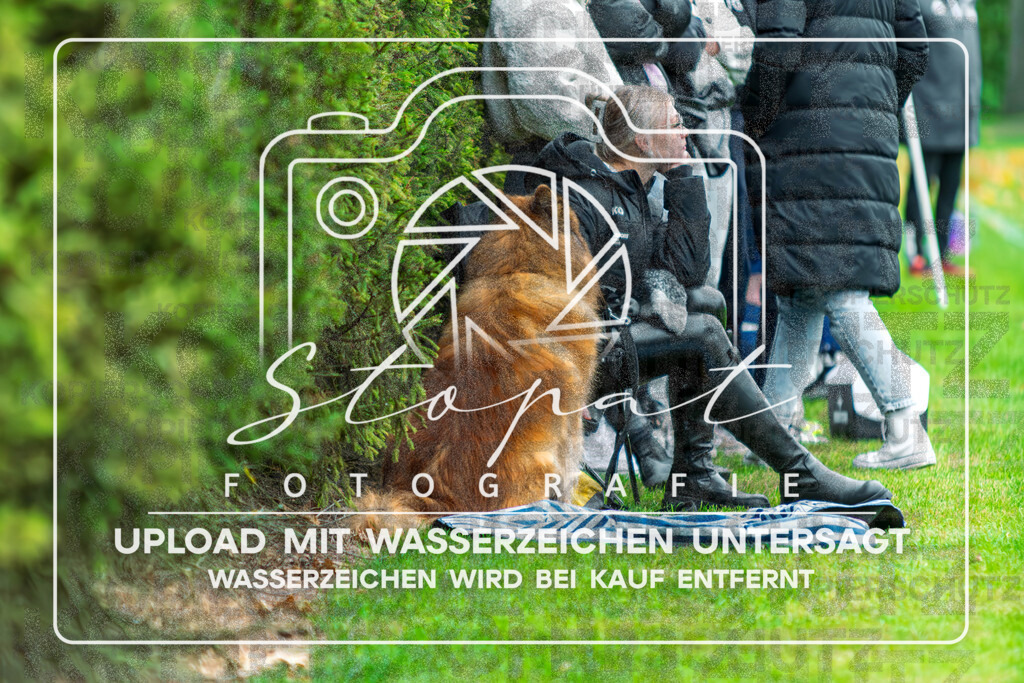 SGNSGF-1007 | Zuschauer beim Damen Kreisliga HK/CE Spiel zwischen SG Nordheide und SG Fulde im Sportplatz Vethem, Vethem (Simon Paul Stopat) - Realisiert mit Pictrs.com