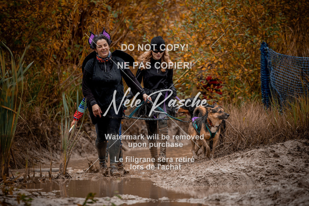 nelerasche_Creepy2025_Sa12-13_18 | nelerasche