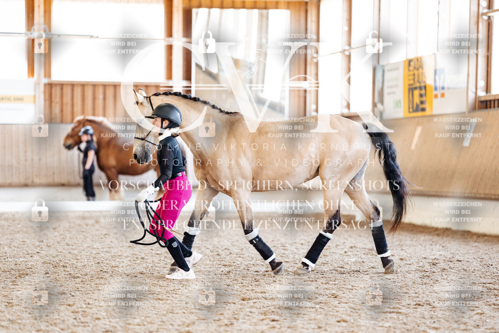 CK907198 | Turnierfotografie Pferdefotografie Trier Rheinland-Pfalz Pferdesport Reitsport Tierfotografie Sportfotografie Pferdevideo Pferdevideografie Equestrianvideography equestrianphotography  - Realisiert mit Pictrs.com