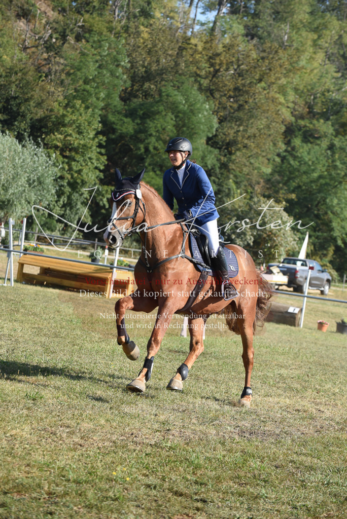 DSC_5339 | Pferde- und Turnierfotografie in Westsachsen. Pferdeportraits, Auftragszeichnungen und intuitive Kunst.