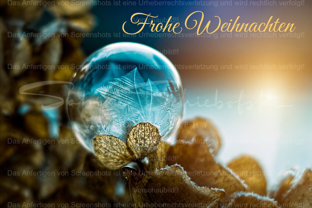 "Frohe Weihnachten" Frozen Bubble | People- und Tierfotografie, Imageaufnahmen, Veranstaltungsfotografie und Wandbilder aus der Natur ★ Made in Germany ✔️ Druck + Downloads ✔️ Naturfotografie in Top Qualität ★ schneller Versand, weltweite Lieferung! - Realisiert mit Pictrs.com