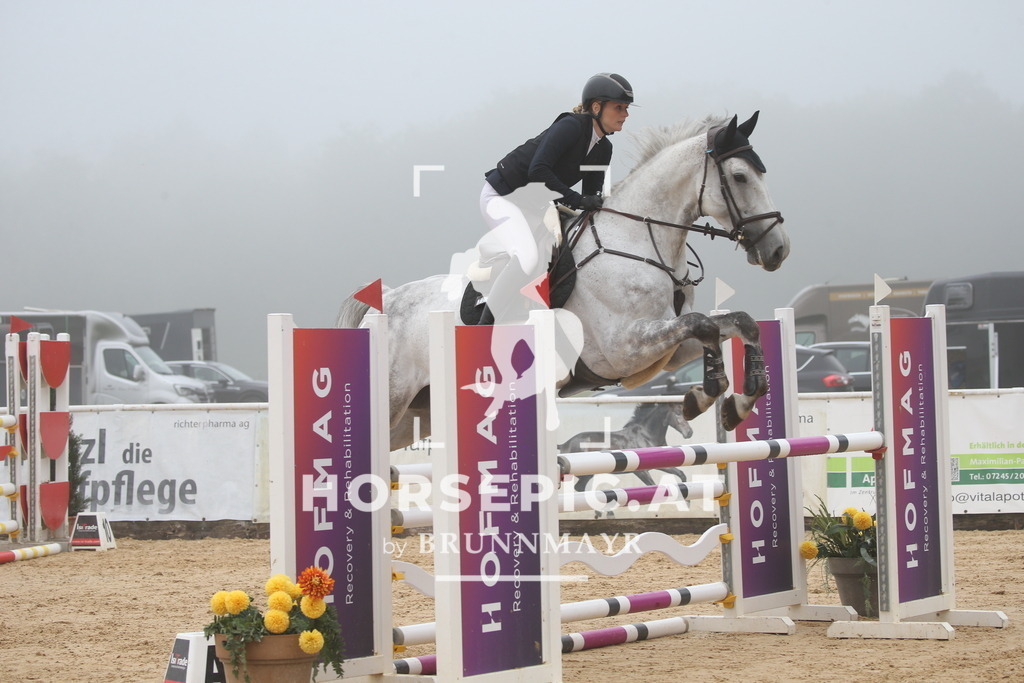 DL2Q3268 | Willkommen bei Brunnmayr - Design & Fotografie – Ihrem Spezialisten für Reitturniere und Pferdeveranstaltungen in Oberösterreich, Salzburg und Bayern! Seit über 17 Jahren sind wir leidenschaftlich dabei.