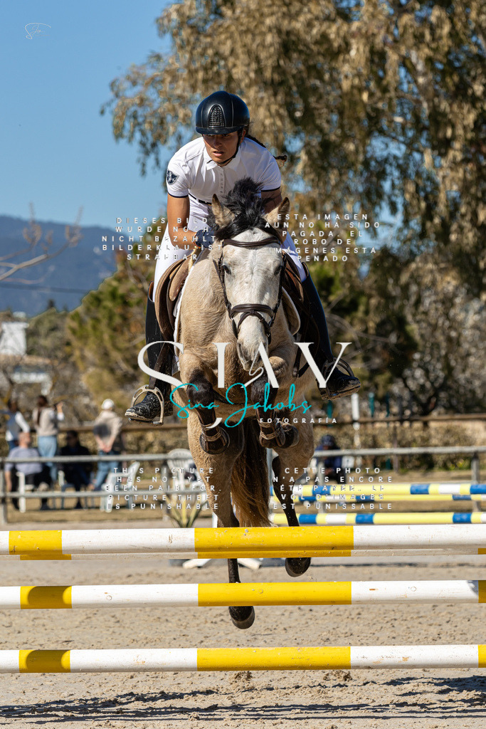 IMG_9223 | s-jay-photography - Realisiert mit Pictrs.com