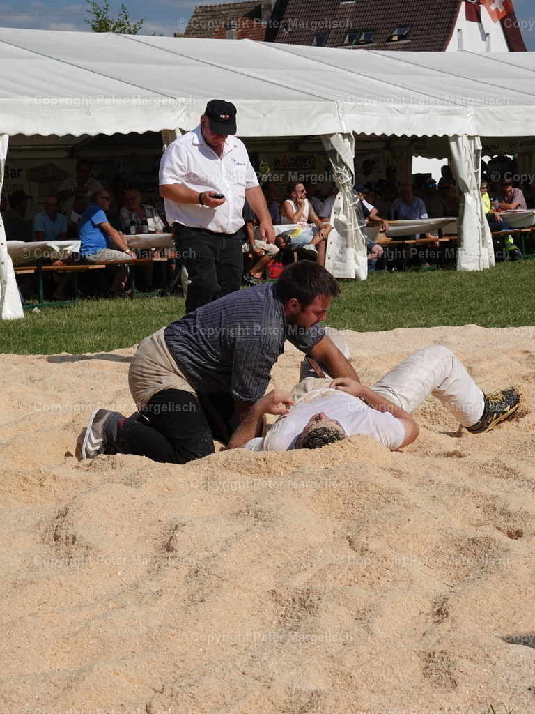 DSC05182 | Schwingen - Realisiert mit Pictrs.com