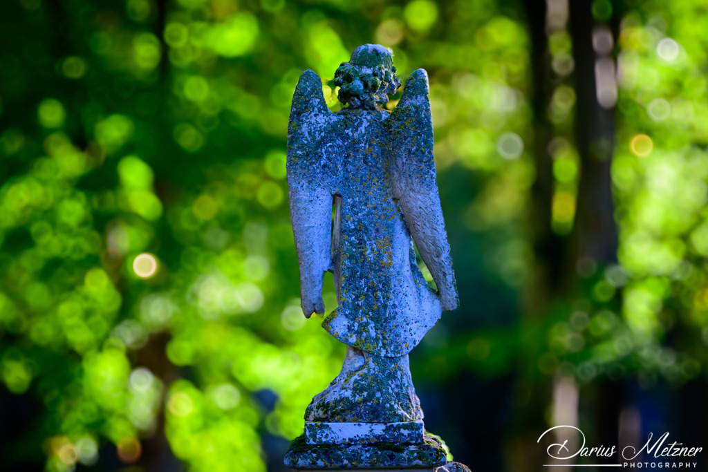 Der alte Hauptfriedhof in Mainz | Der alte Hauptfriedhof in Mainz