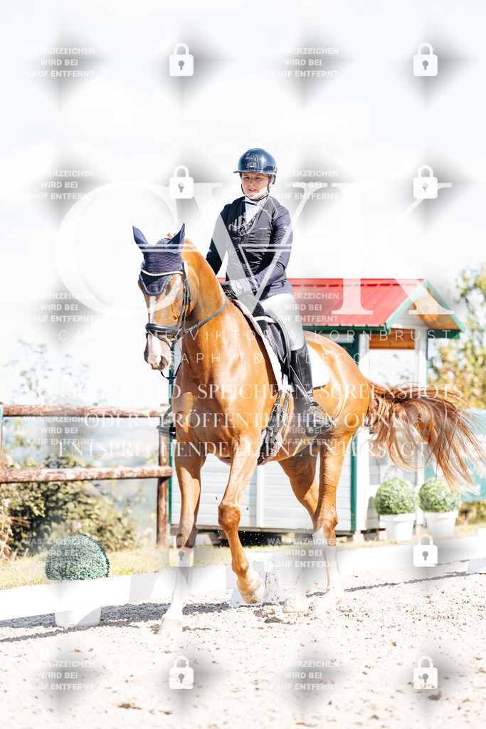 CK903225 | Turnierfotografie Pferdefotografie Trier Rheinland-Pfalz Pferdesport Reitsport Tierfotografie Sportfotografie Pferdevideo Pferdevideografie Equestrianvideography equestrianphotography  - Realisiert mit Pictrs.com