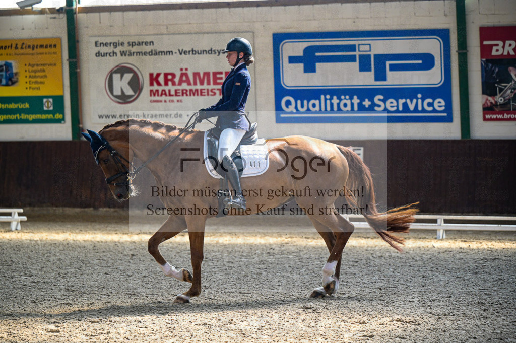 Reitturnier Voxtrup | Entdecke hochwertige Reitturnierfotos von Foto Oger. Professionell, emotional und authentisch – jetzt Lieblingsmomente im Shop bestellen.Deutschlandweite Turnierfotografie. - Realisiert mit Pictrs.com