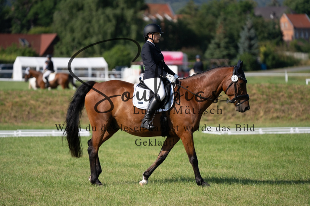 A7V09380 | Pferdefotograf