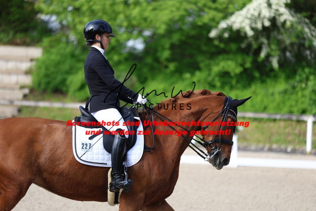 A40A3587 | lmwpictures - Realisiert mit Pictrs.com