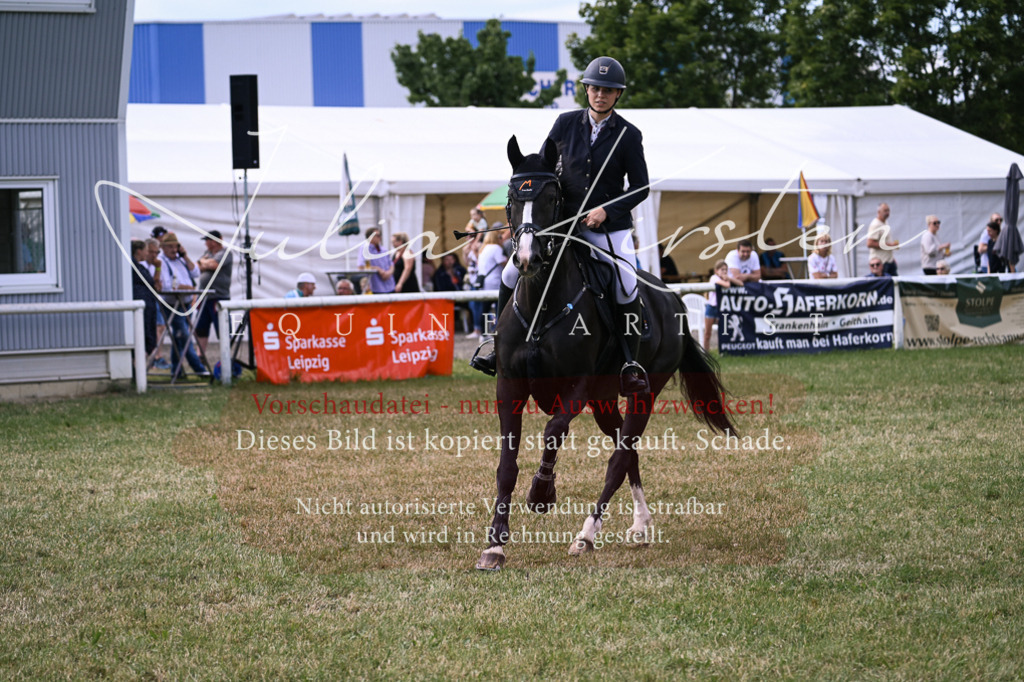 DSC_0809 | Pferde- und Turnierfotografie in Westsachsen. Pferdeportraits, Auftragszeichnungen und intuitive Kunst.