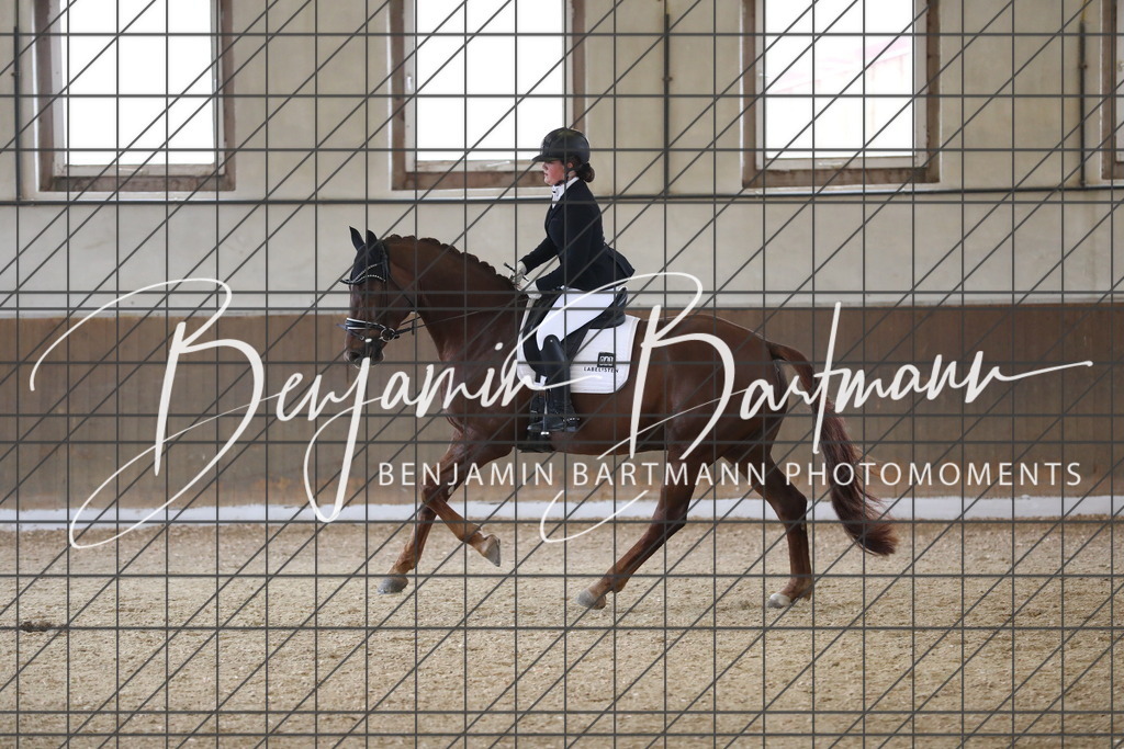 AZ2A7378 | Benjamin Bartmann Photomoments