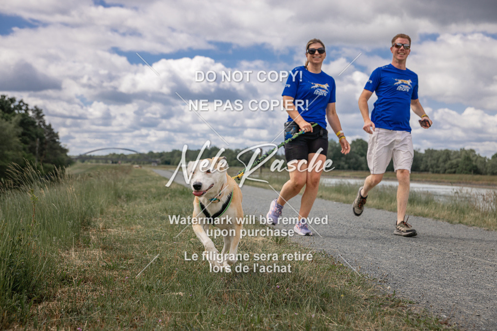 nelerasche_BuHu2026_SaCC1100-1200_107 | nelerasche