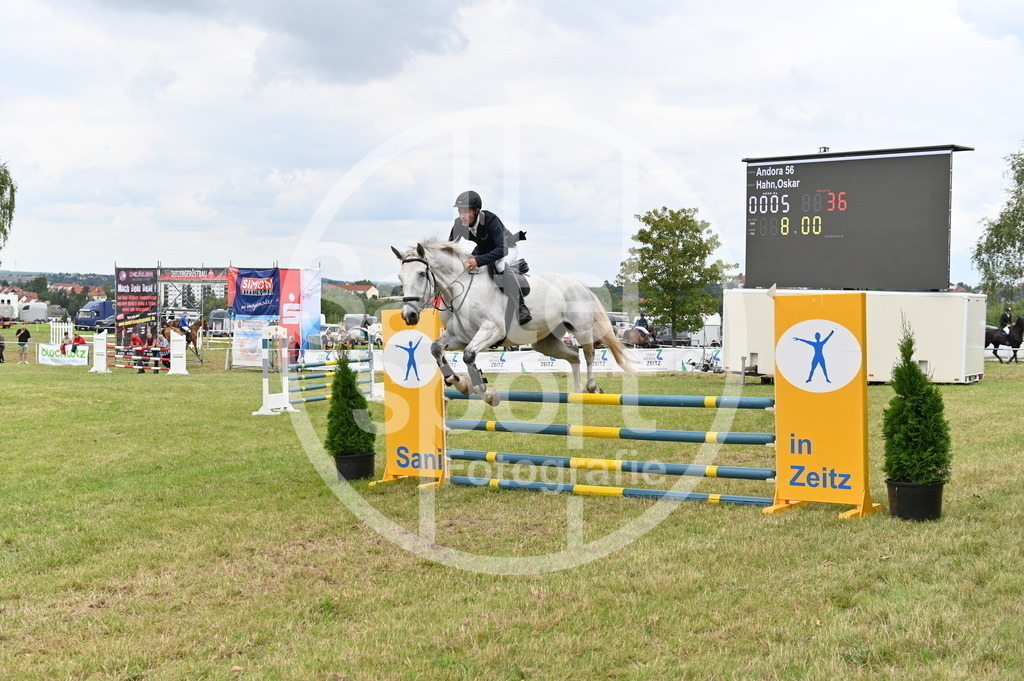 DSC_3378 | sattelsport - Realisiert mit Pictrs.com