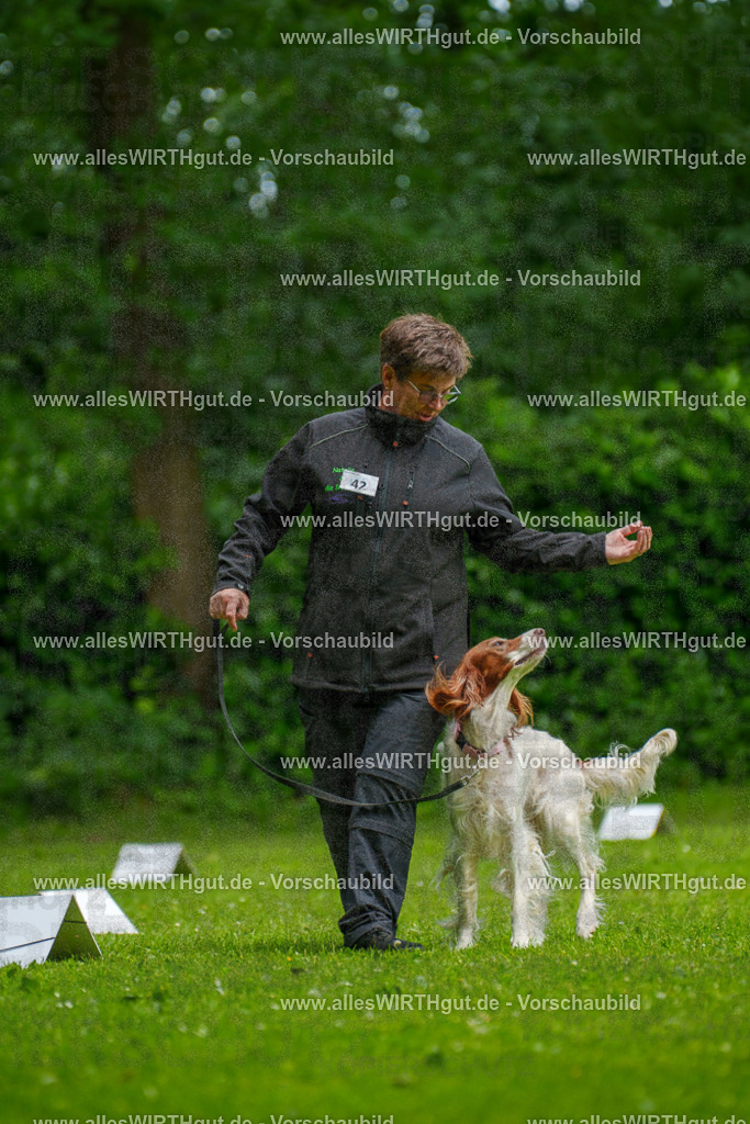 @allesWIRTHgut_Tierfotografie - www.allesWIRTHgut.de - 131345-7R509918 | Professionelle Tierfotografie in Mönchengladbach von Daniel Wirth (allesWIRTHgut). Liebevolle & natürliche Bilder von Hunden & Katzen für unvergessliche Erinnerungen.