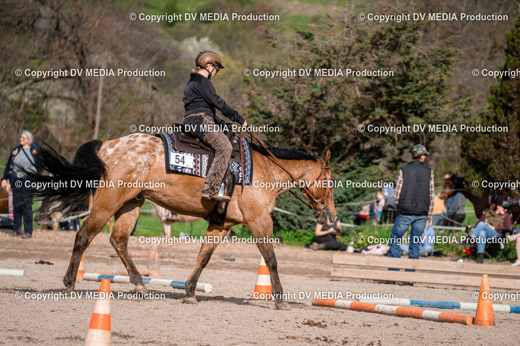 BAL02774 | dv-media-shop - Realisiert mit Pictrs.com