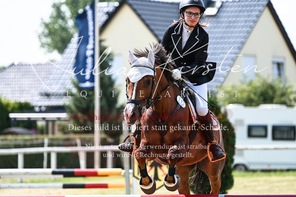 DSC_8655 | Pferde- und Turnierfotografie in Westsachsen. Pferdeportraits, Auftragszeichnungen und intuitive Kunst.