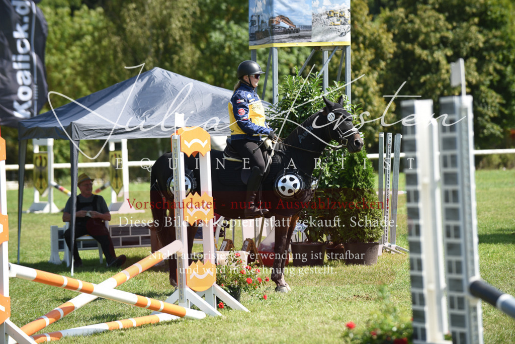 DSC_0389 | Pferde- und Turnierfotografie in Westsachsen. Pferdeportraits, Auftragszeichnungen und intuitive Kunst.