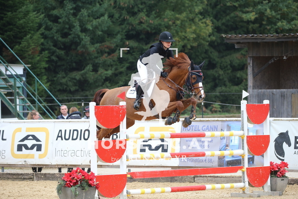 DL2Q1046 | Willkommen bei Brunnmayr - Design & Fotografie – Ihrem Spezialisten für Reitturniere und Pferdeveranstaltungen in Oberösterreich, Salzburg und Bayern! Seit über 17 Jahren sind wir leidenschaftlich dabei.