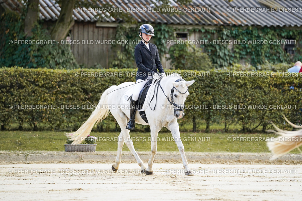 DSC05356 | Pferdegrafie