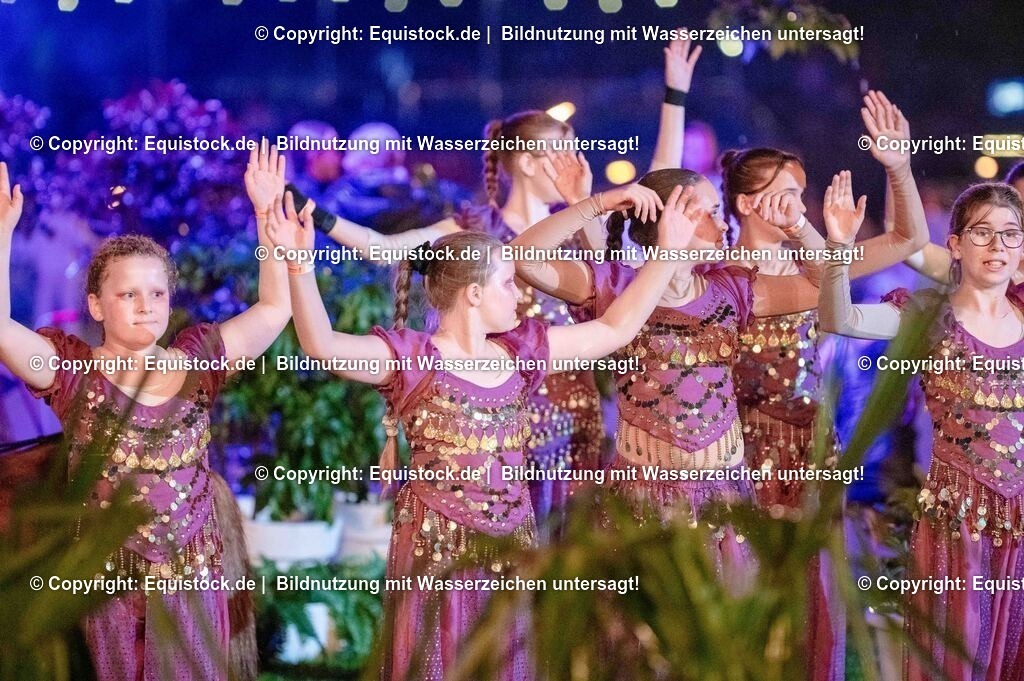 20250606_Lange-Pferdenacht_1447 | Foto: Thomas Hartig