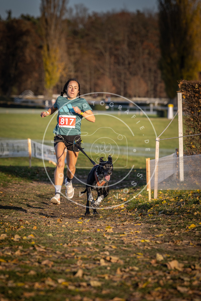 CaniXpix_DV3A3153 | Hundefotografie, Tierfotograf, Pfotenfotografie, Fotoshooting Hund, Hunde Portrait, Hundesport, Hundeportraits, Heideshooting, Hunde, Sportfotograf, Hundefotograf, Turnierhundsport, THS,  - Realisiert mit Pictrs.com