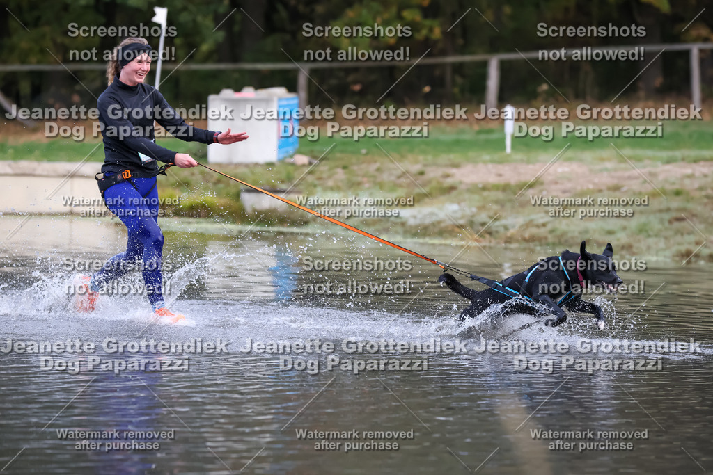 Dog Paparazzi - Strongdog 10-25-6305 | Dog Paparazzi Jeanette Grottendiek Fotografie & Videografie - Realisiert mit Pictrs.com