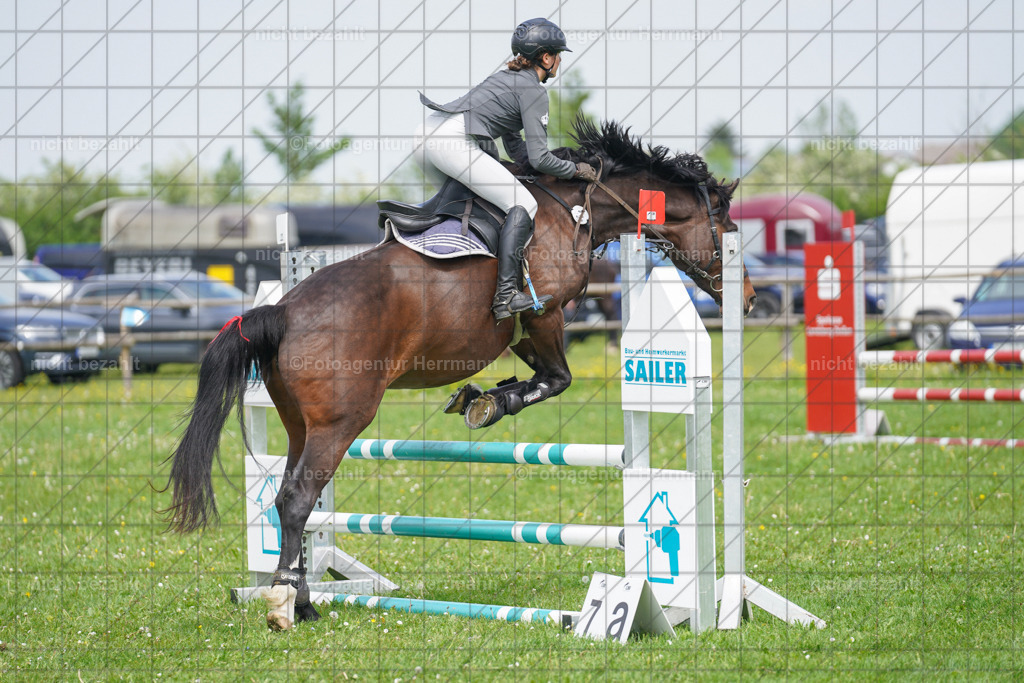 20240509-FAH02783 | Turnierbilder der Turnierfotografen Bayern, Pferdesport Fotografie, Reitsportbilder, Turnier Landberg am Lech, Turnierbilder bayern, Fotoagentur Herrmann
