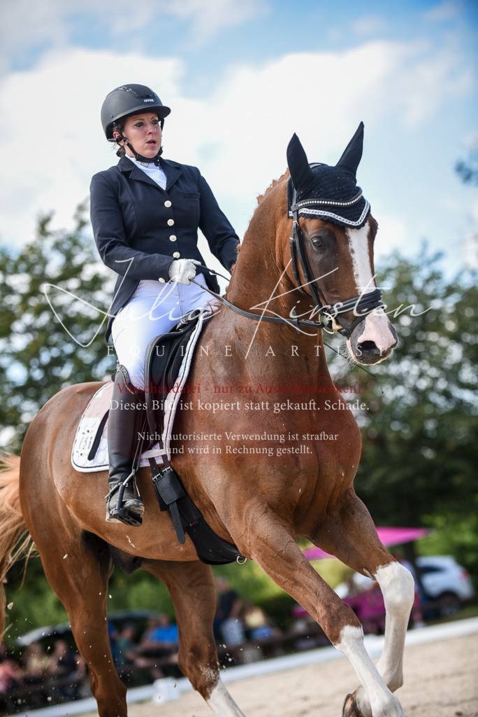 DSC_9348 | Pferde- und Turnierfotografie in Westsachsen. Pferdeportraits, Auftragszeichnungen und intuitive Kunst.