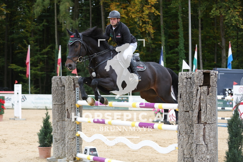 0P6A3567 | Willkommen bei Brunnmayr - Design & Fotografie – Ihrem Spezialisten für Reitturniere und Pferdeveranstaltungen in Oberösterreich, Salzburg und Bayern! Seit über 17 Jahren sind wir leidenschaftlich dabei.