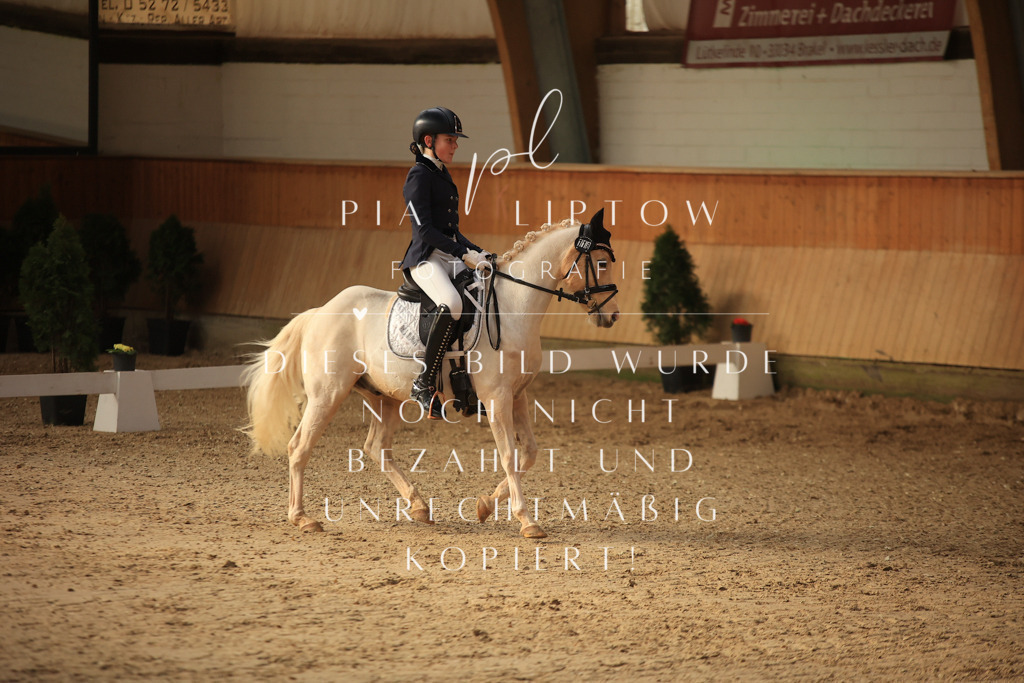 IMGT1556 | pl-fotografie