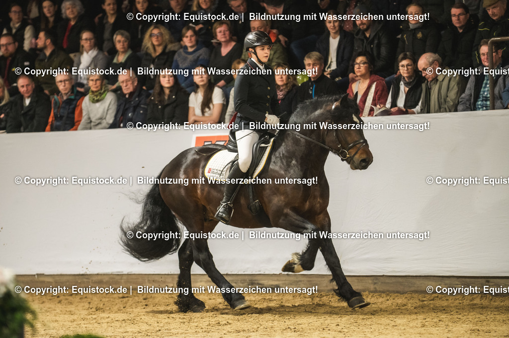 20240302_Hengstvorstellung_Marbach_TOMsPiC_0288 | equistock