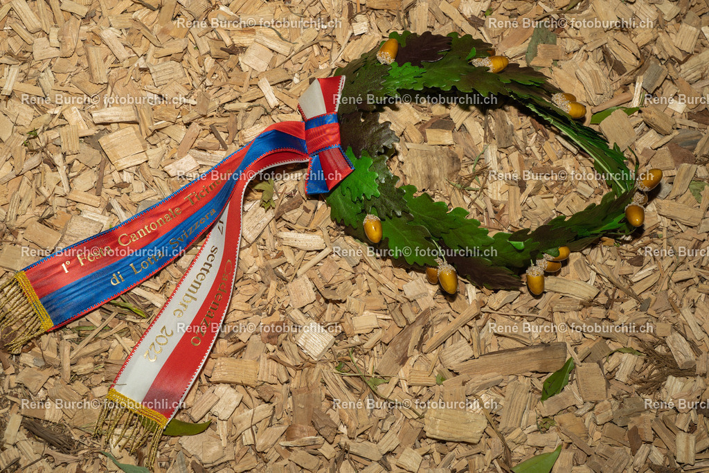 DSC08781 | René Burch leidenschaftlicher Fotograf aus Kerns in Obwalden.  Hier finden sie Sport, Landschaft und Natur Fotografie.
 - Realisiert mit Pictrs.com