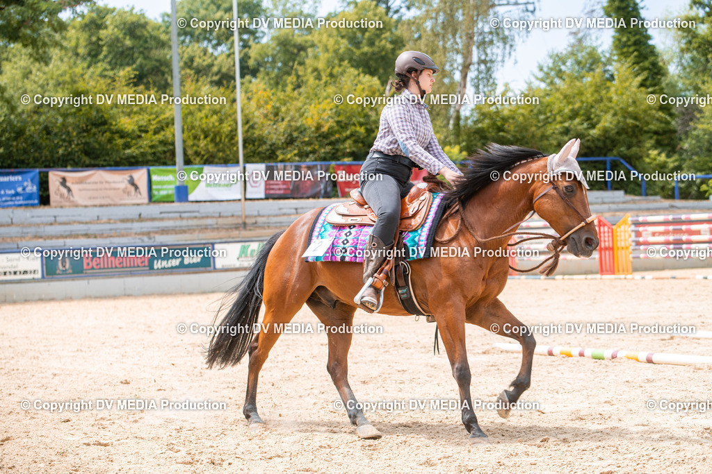 EWP_6558 | dv-media-shop - Realisiert mit Pictrs.com