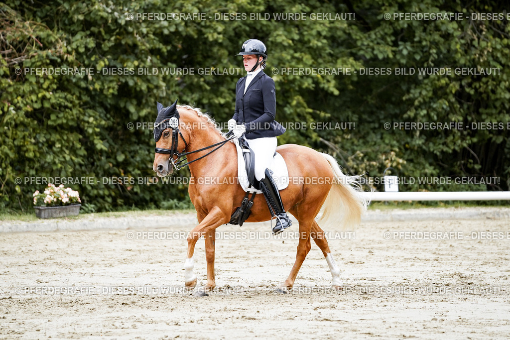 DSC04059 | Pferdegrafie