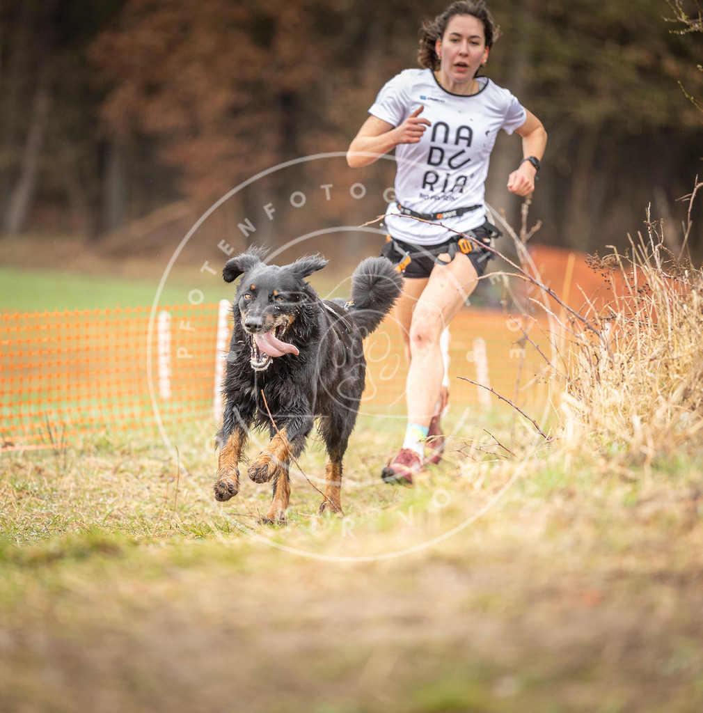 DV3A0152 | Hundefotografie, Tierfotograf, Pfotenfotografie, Fotoshooting Hund, Hunde Portrait, Hundesport, Hundeportraits, Heideshooting, Hunde, Sportfotograf, Hundefotograf, Turnierhundsport, THS,  - Realisiert mit Pictrs.com