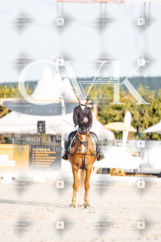 CK903726 | Turnierfotografie Pferdefotografie Trier Rheinland-Pfalz Pferdesport Reitsport Tierfotografie Sportfotografie Pferdevideo Pferdevideografie Equestrianvideography equestrianphotography  - Realisiert mit Pictrs.com