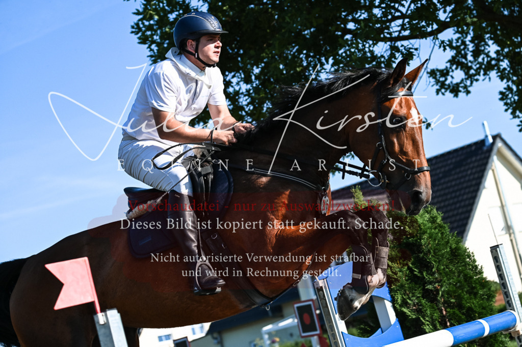 DSC_2739 | Pferde- und Turnierfotografie in Westsachsen. Pferdeportraits, Auftragszeichnungen und intuitive Kunst.