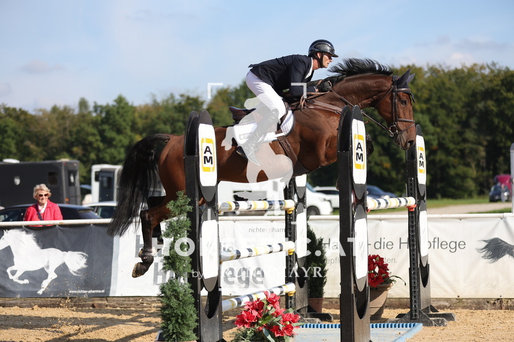 0P6A8002 | Willkommen bei Brunnmayr - Design & Fotografie – Ihrem Spezialisten für Reitturniere und Pferdeveranstaltungen in Oberösterreich, Salzburg und Bayern! Seit über 17 Jahren sind wir leidenschaftlich dabei.