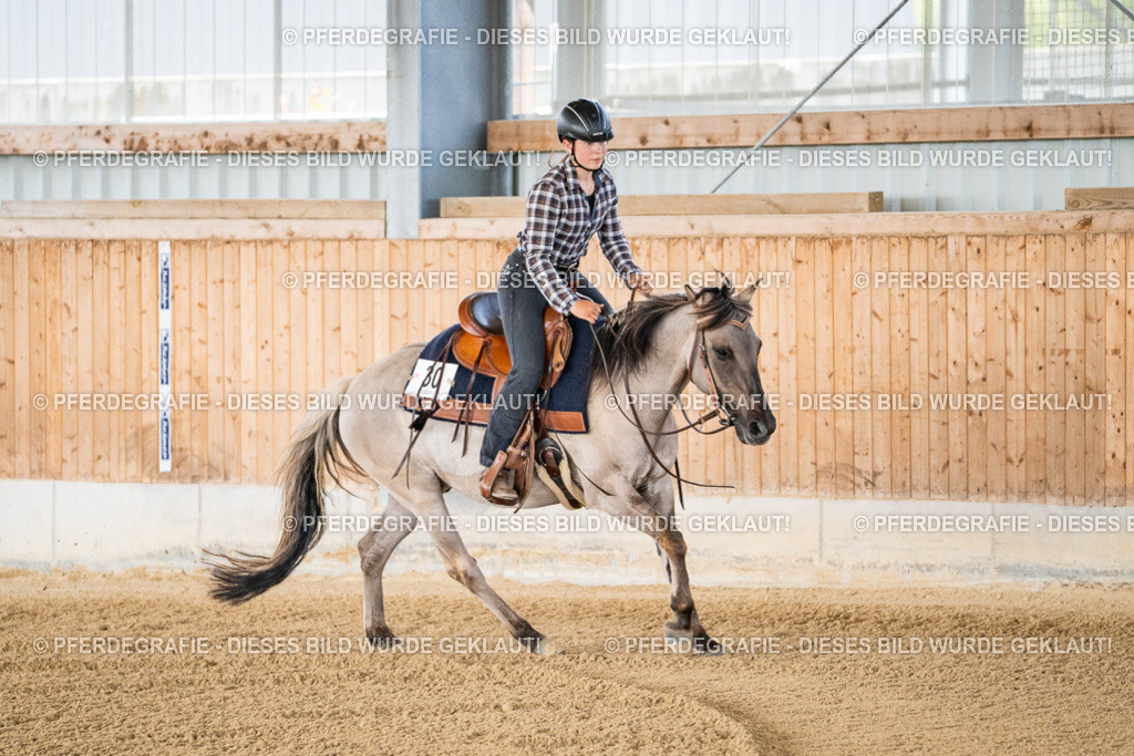 DSC01820 | Pferdegrafie