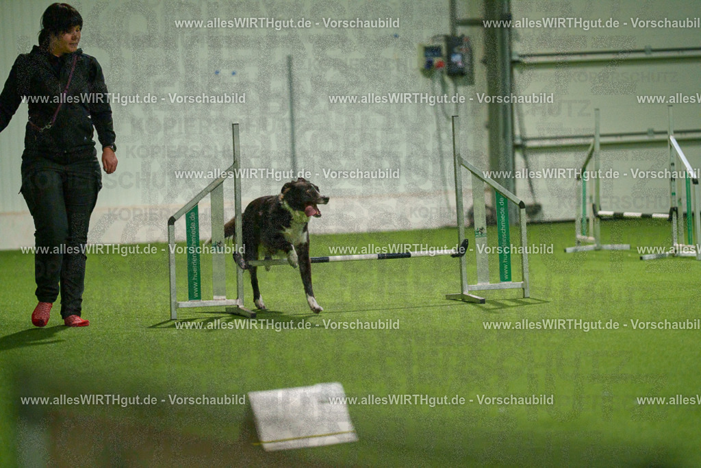 7R507320 | Professionelle Tierfotografie in Mönchengladbach von Daniel Wirth (allesWIRTHgut). Liebevolle & natürliche Bilder von Hunden & Katzen für unvergessliche Erinnerungen.