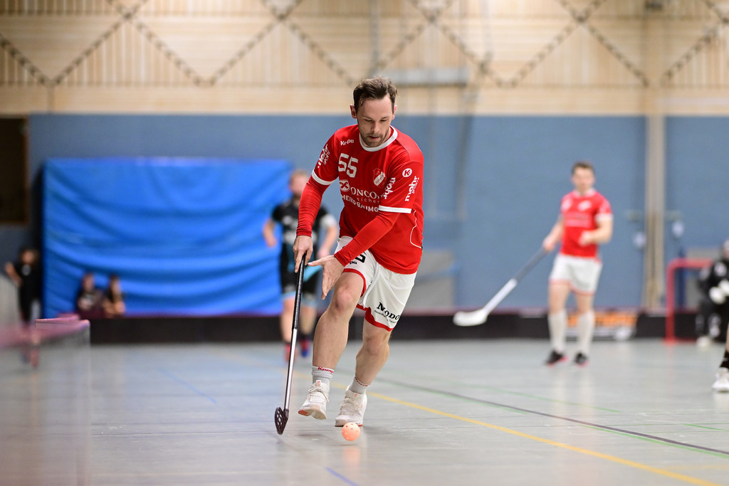 Floorball I Herren I Saison 2024-2025 I 2. FBL Herren Nord-West I 9. Spieltag I MTV Mittelnkirchen - TSV Tollwut Ebersgöns | Der Sportfotograf. - Realisiert mit Pictrs.com