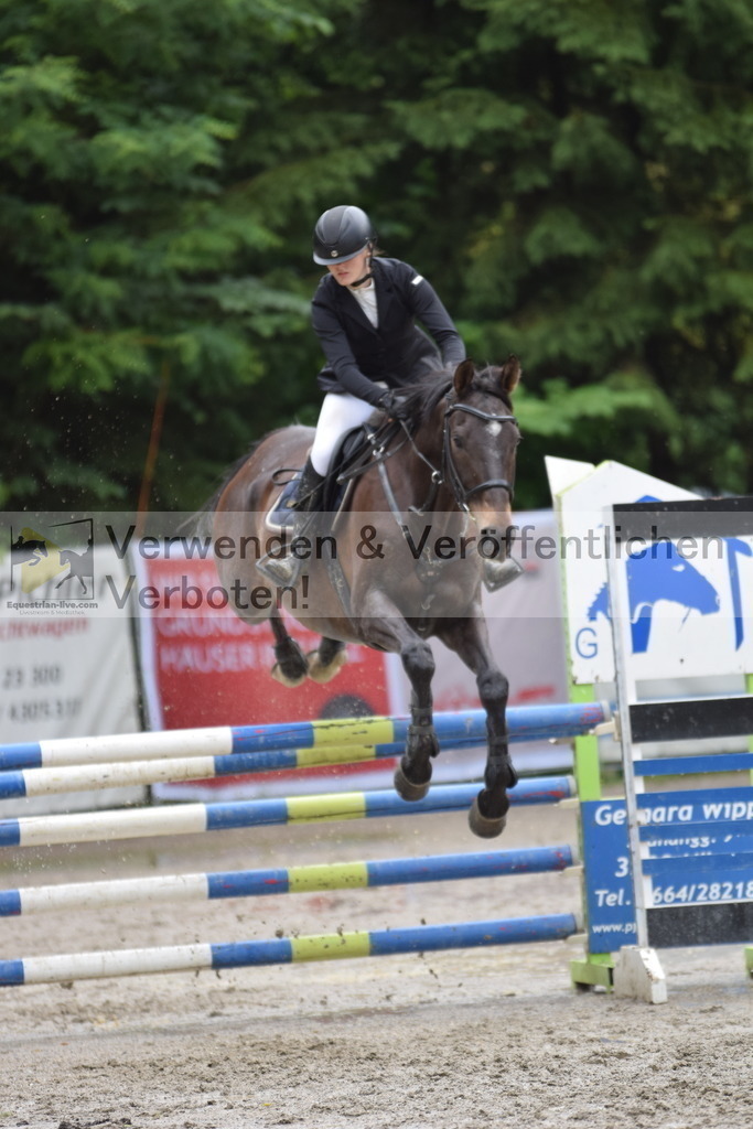 DSC_0017 | equestrian-live-com