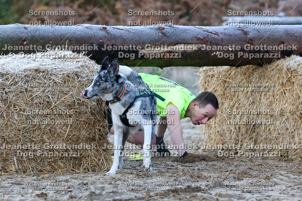 Dog Paparazzi - Strongdog 10-25-84 | Dog Paparazzi Jeanette Grottendiek Fotografie & Videografie - Realisiert mit Pictrs.com